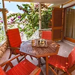Magnolija Daire Cres