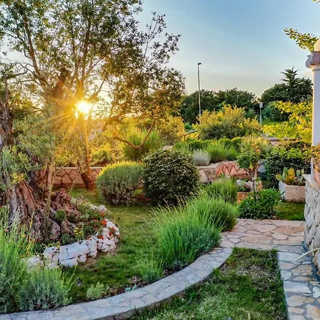 Daire Magnolija Cres